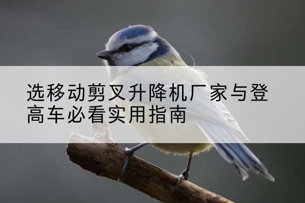 大足区电动升降机厂家-选移动剪叉升降机厂家与登高车必看实用指南