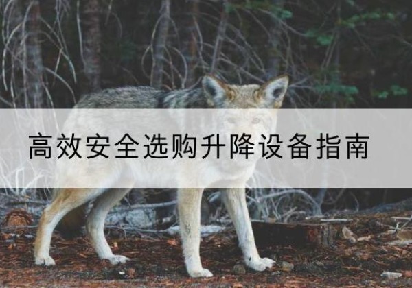 大足区升降货梯厂家推荐-*安全选购升降设备指南