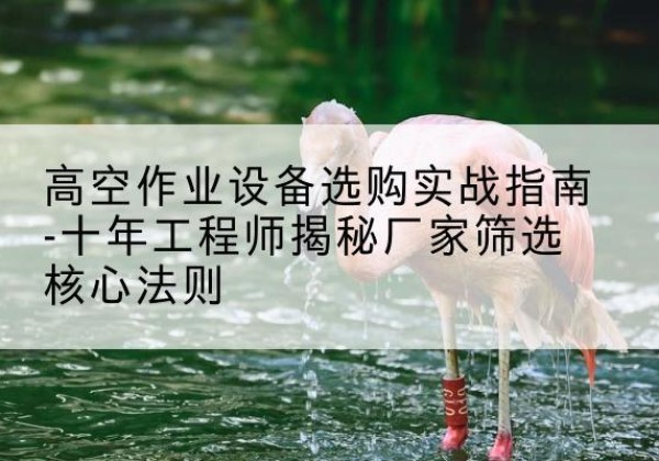 大足区剪叉式升降机厂家-高空作业设备选购实战指南-十年工程师揭秘厂家筛选核心法则